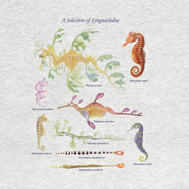 Syngnathidae With Type by laurenpenney